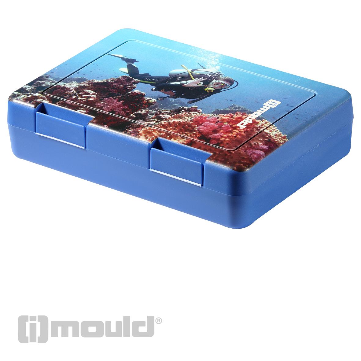 AQSXO Snack-Boxen 8 Fächer – 2 Stück, Transparent, Wiederverwendbar, Lebensmittelecht, Für Unterwegs & Büro